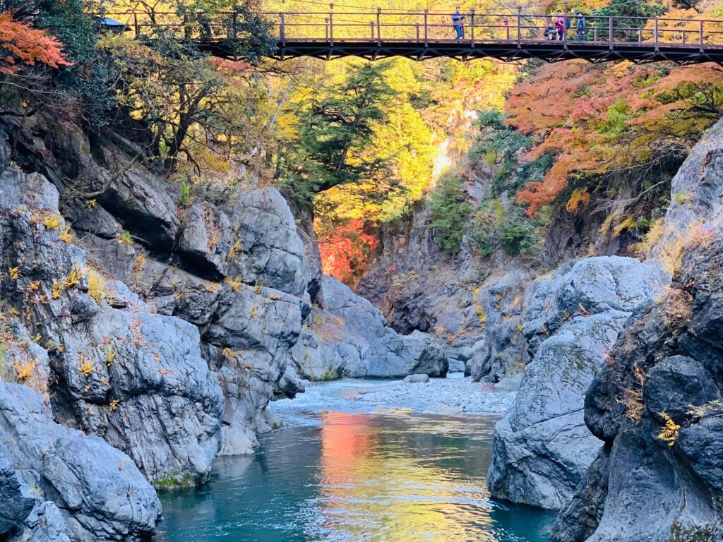 Japan travel packages