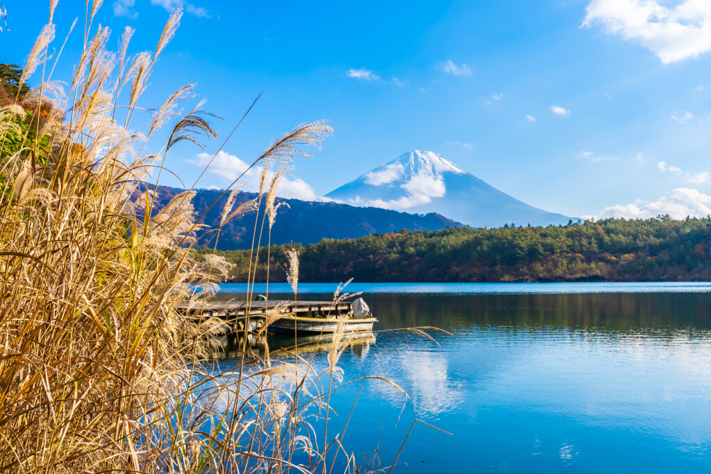 Japan travel packages
