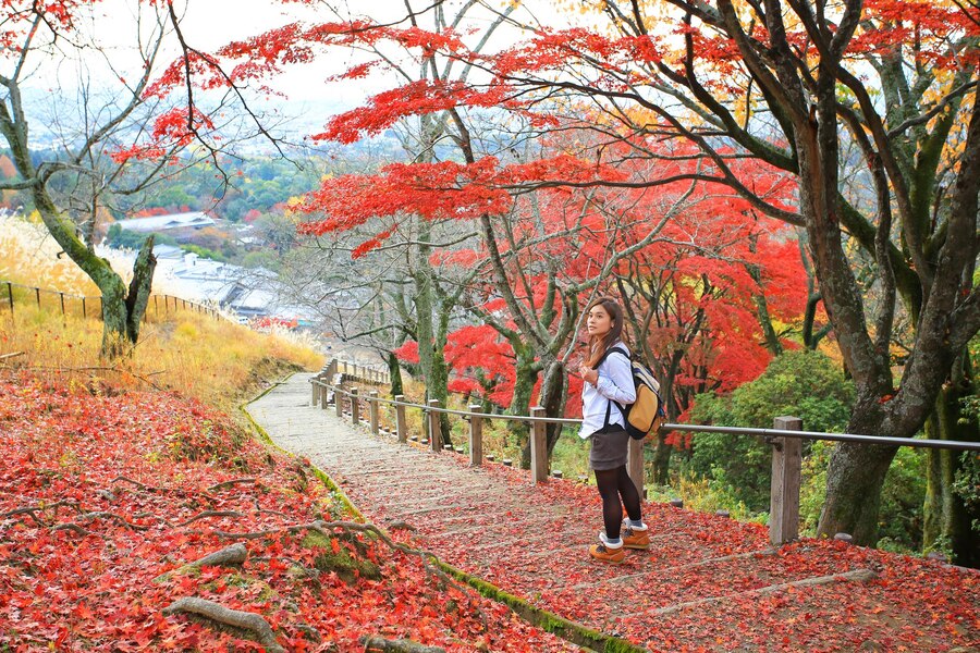 about Japan Tour and Travel